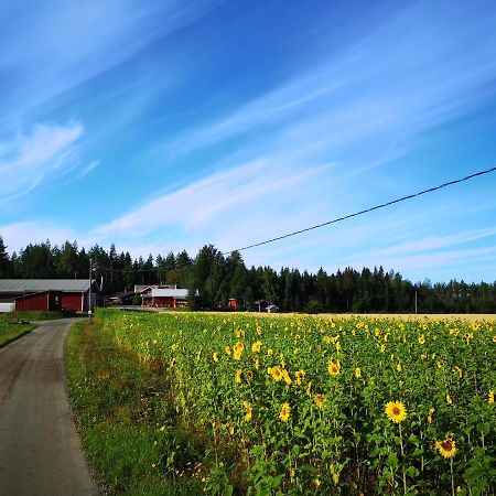 Maatilamatkailu Ilomaeki Сейняйоки Экстерьер фото