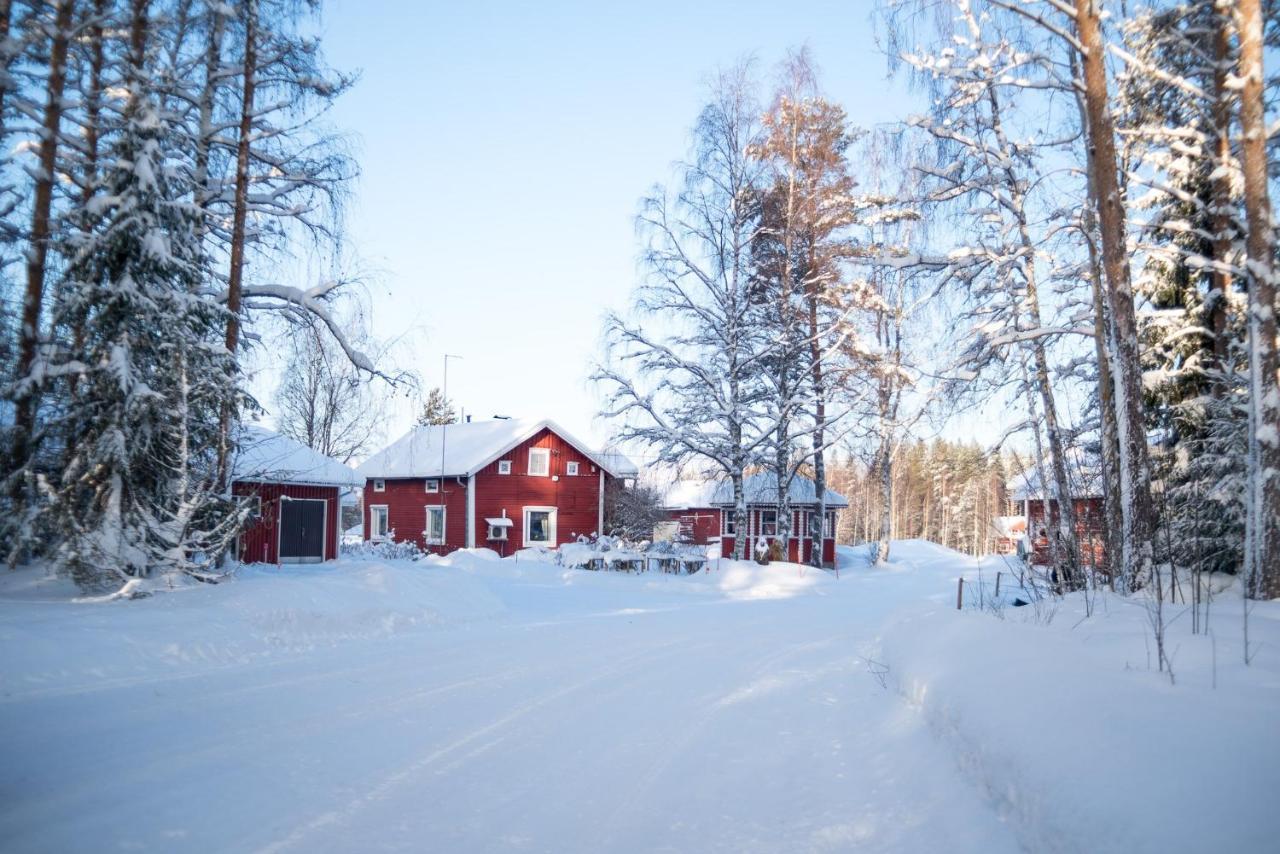 Maatilamatkailu Ilomaeki Сейняйоки Экстерьер фото
